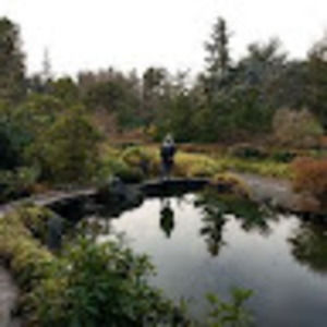 Meet your Posher, Carol